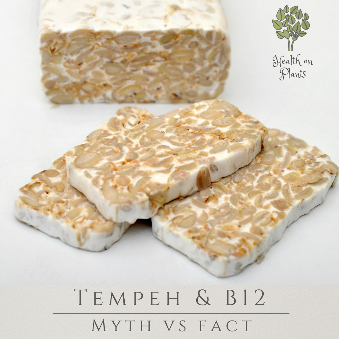 Tempeh & B12- Myth Vs Facts