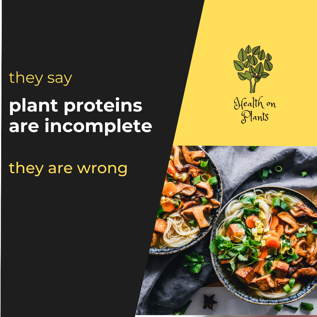 Plant Based Complete Protein