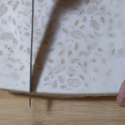 Tempeh
